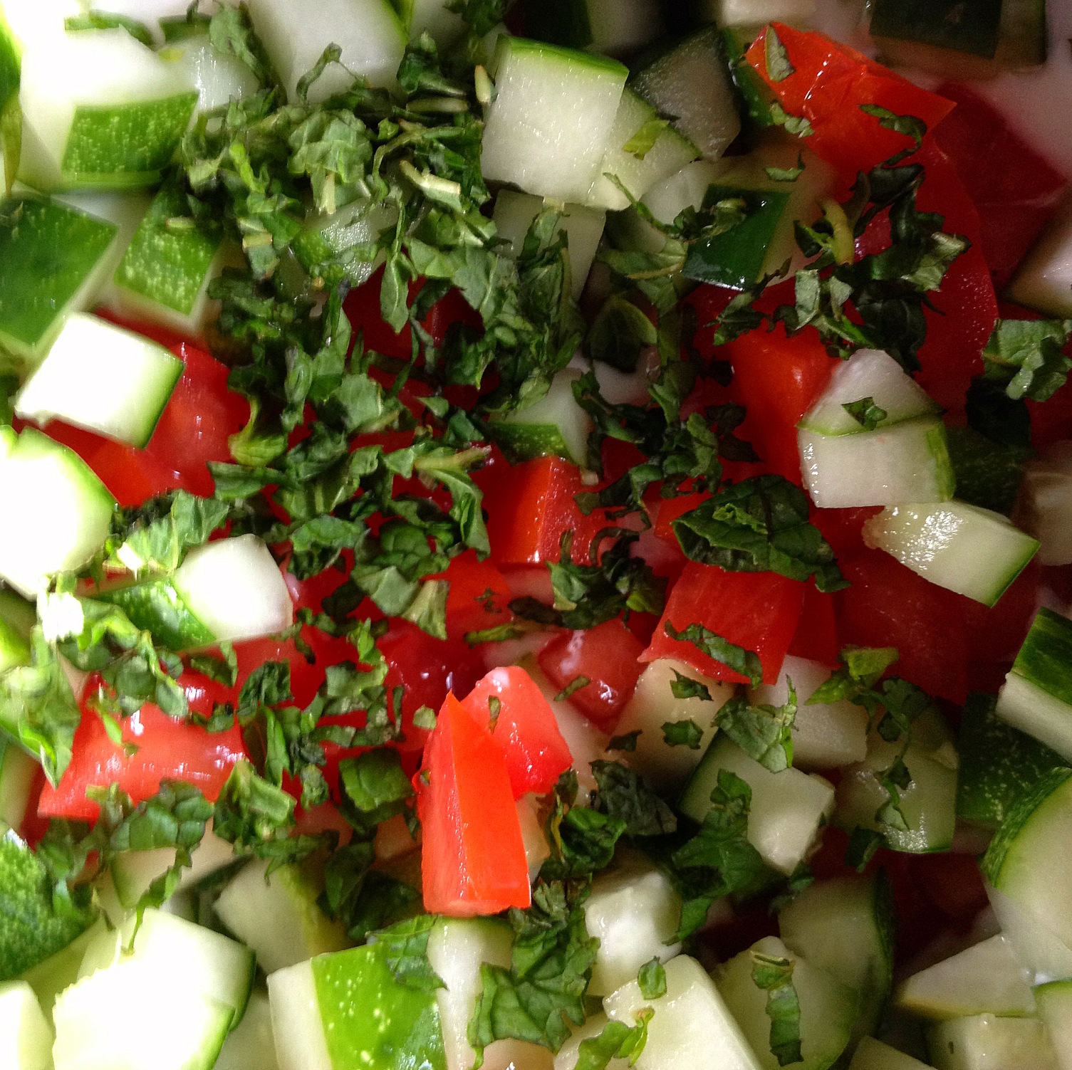 Mixture of fresh tomatoes, cucumber, and mint leaves