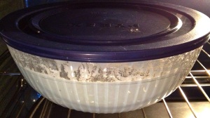 Storing dosa batter in air-tight container overnight 