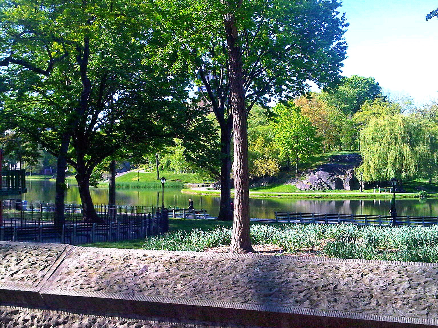Central Park and the Harlem Meer in New York City